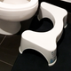 Squatty Potty engaged. Image: Danielle Steinberg/Gizmodo